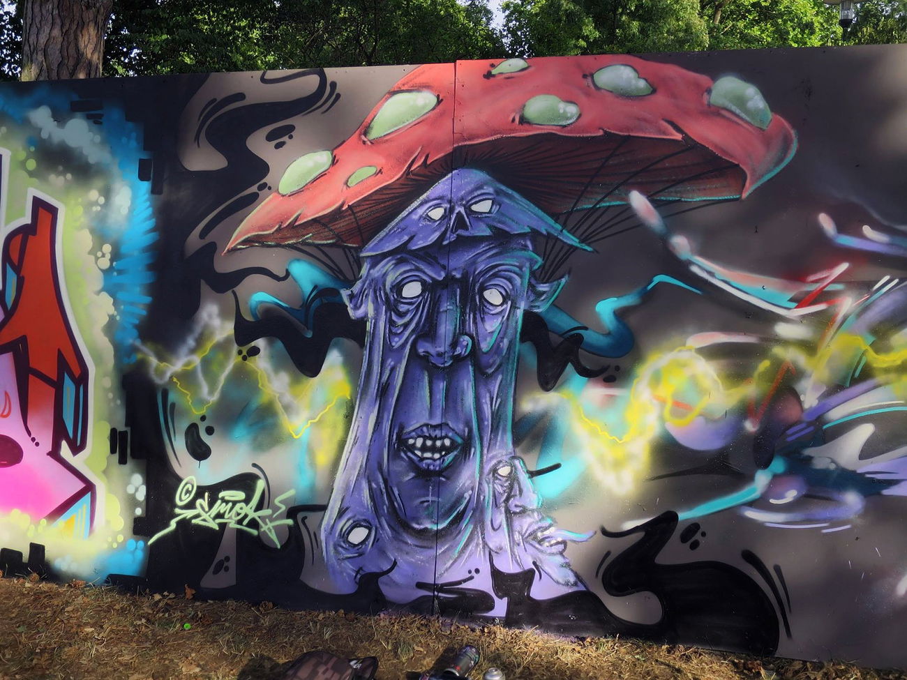 Graffiti Wall in Darmstadt - Photo by Smok (2015)