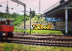 Photo #7309 by 19xllls