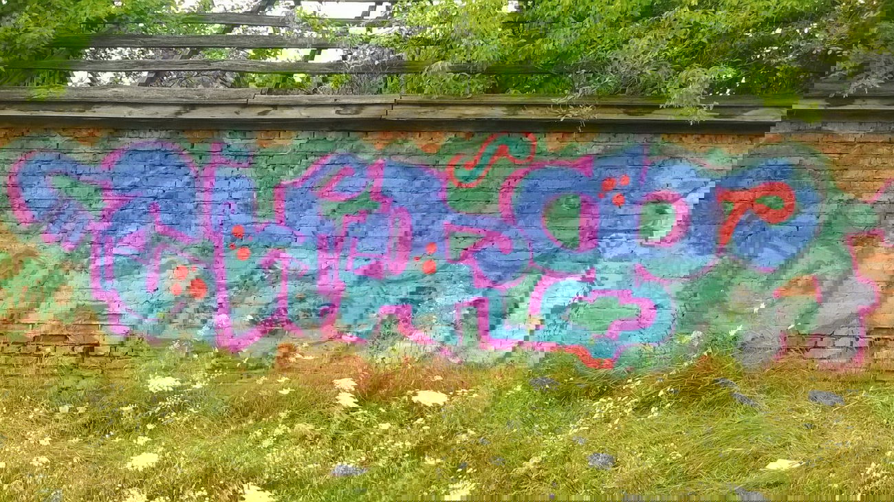 Graffiti Bombing - Photo by Snaf - ????, snaf (2014)