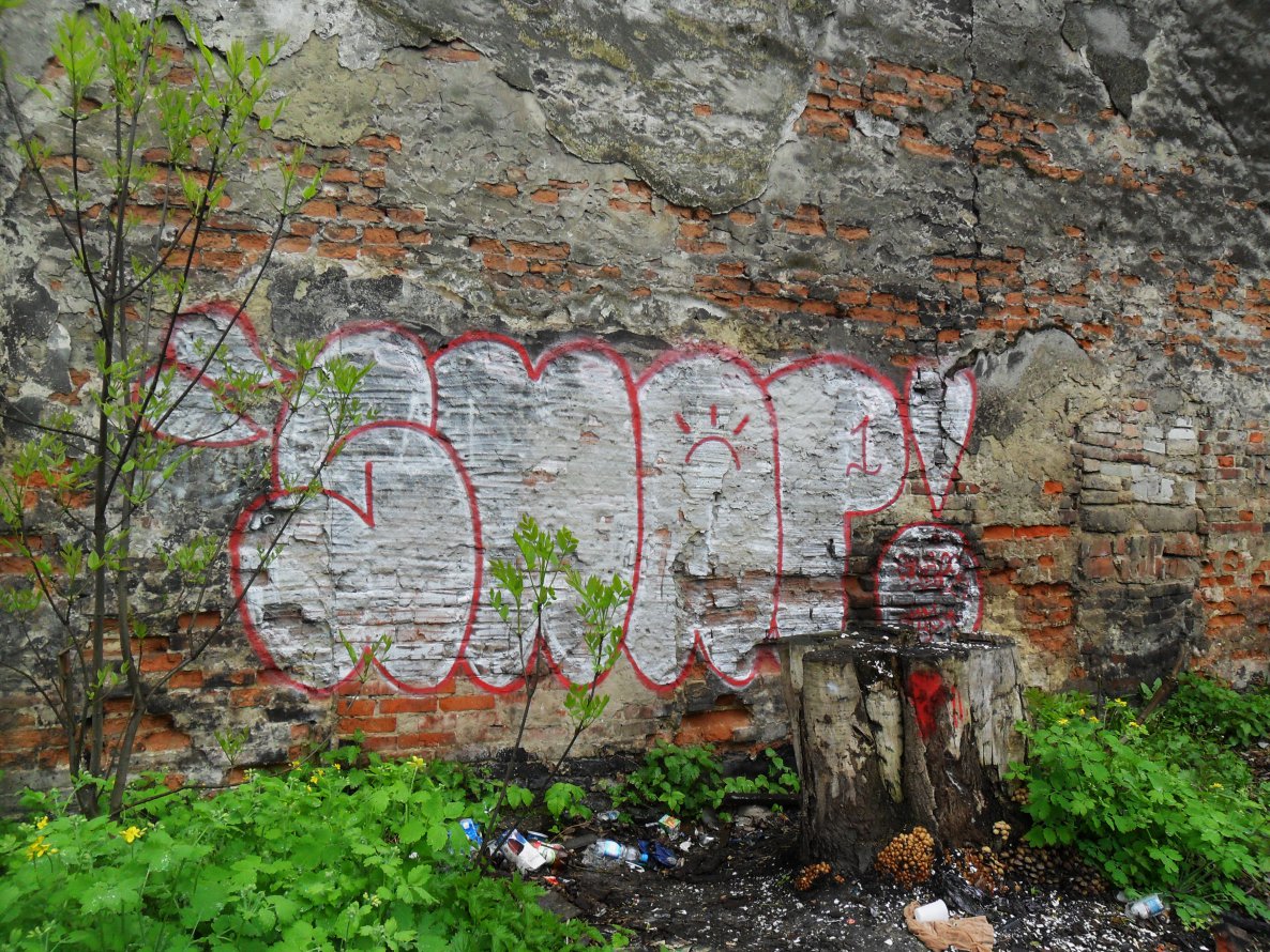 Graffiti Bombing - Photo by Snaper - snaper, snap (2011)