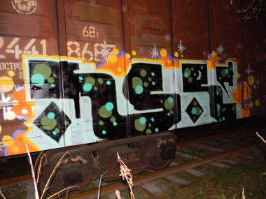 Graffiti Train - Photo by Snerd - MSR (2013)