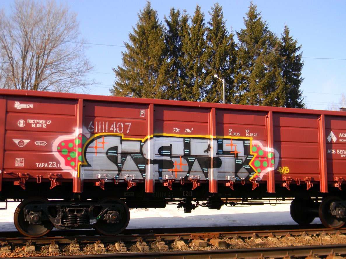 Graffiti Train - Photo by Snerd - msr (2013)
