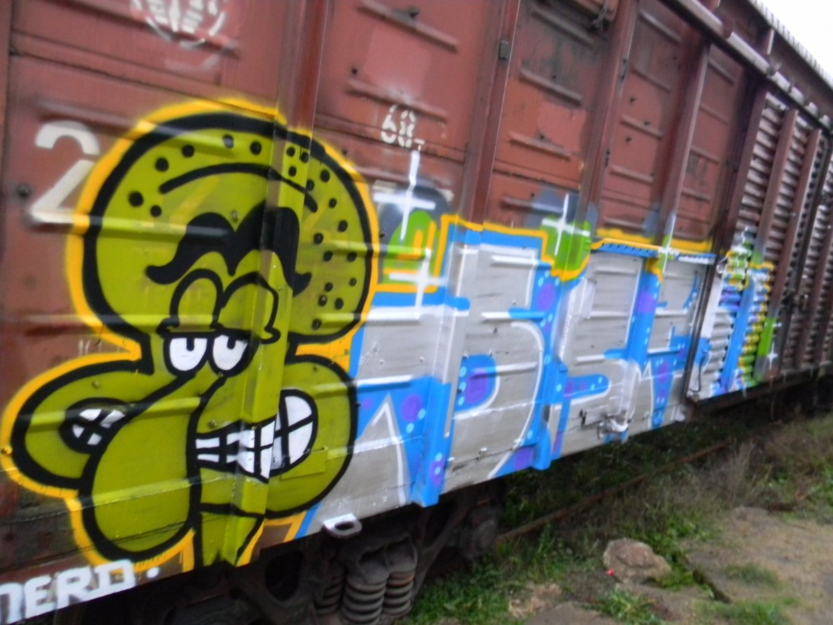 Graffiti Train - Photo by Snerd - msr (2013)