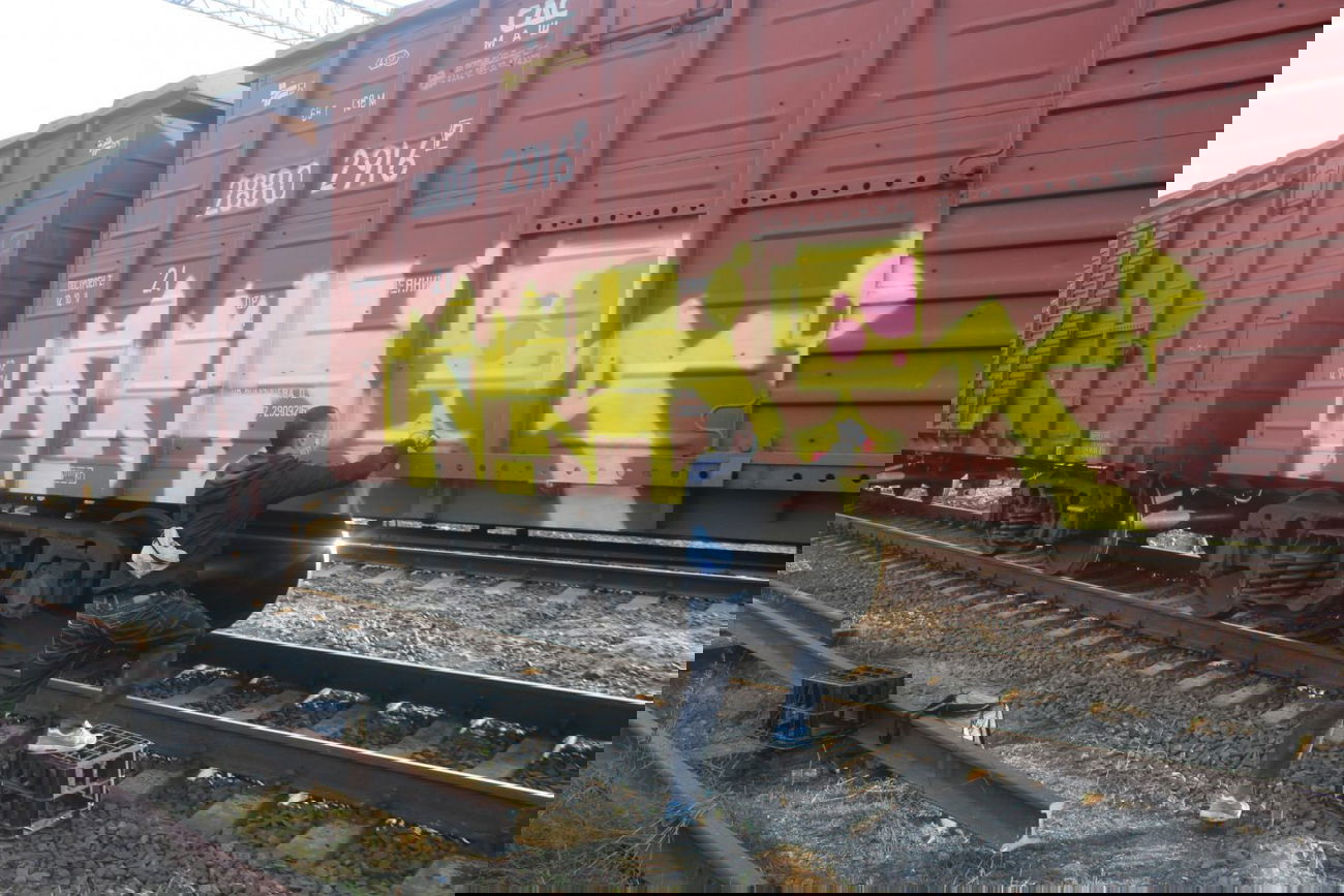 Graffiti Train - Photo by Snerd - MSR (2014)