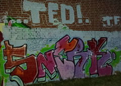 Photo #73606 by Sercan