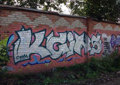 Photo #19083 by Joeck