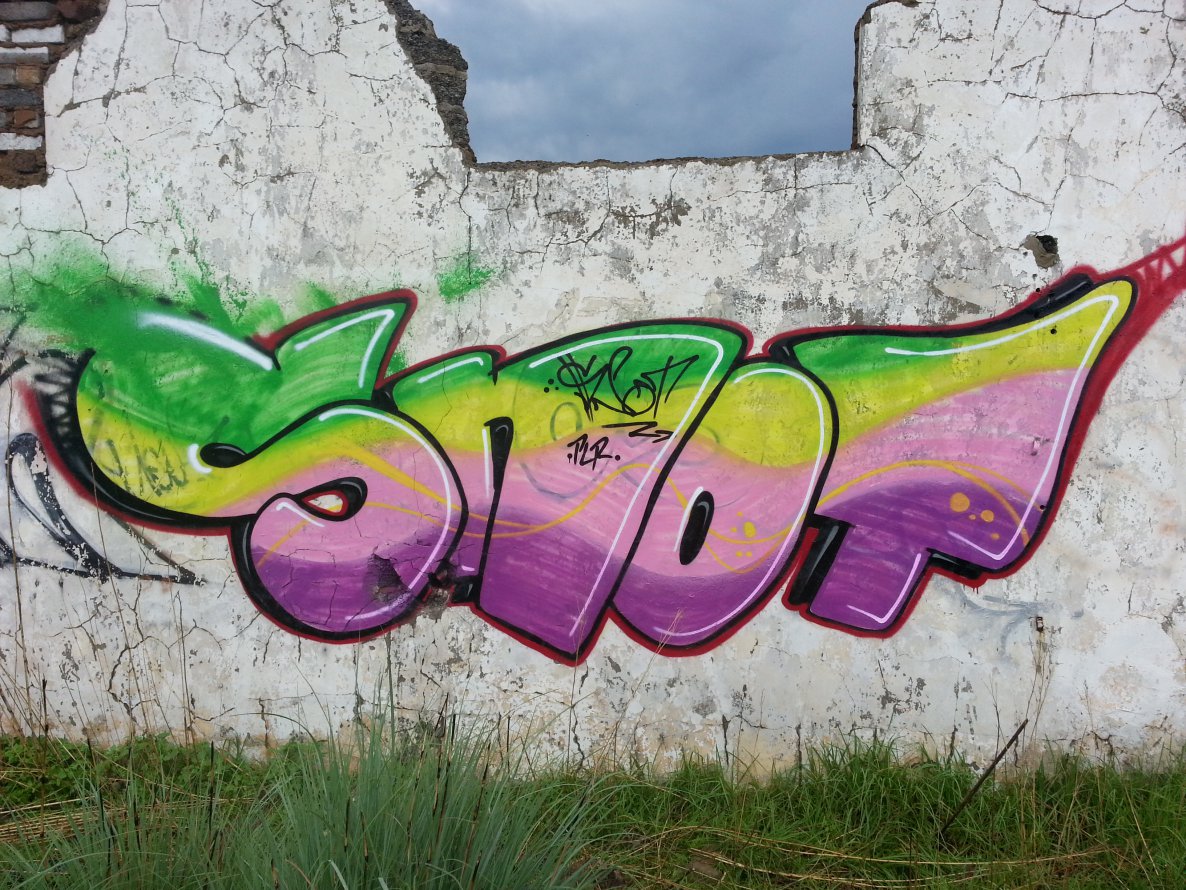 Graffiti Wall - Photo by Snot420 - snot, graffiti, south (2013)