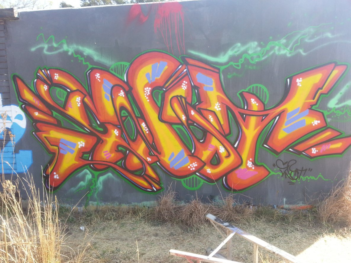 Graffiti Wall - Photo by Snot420 - snot, graffiti, south (2013)