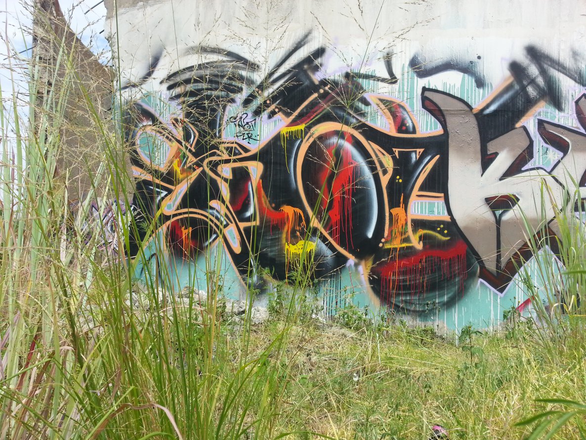 Graffiti Wall - Photo by Snot420 - snot, graffiti, south (2014)