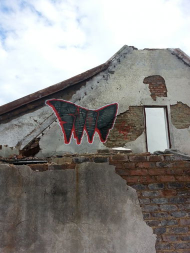 Graffiti Wall - Photo by Snot420 - snot, graffiti, south (2013)