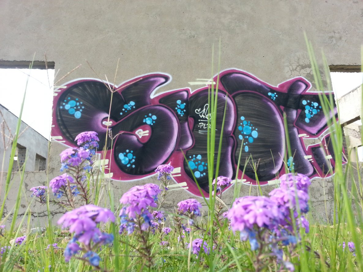 Graffiti Wall - Photo by Snot420 - snot, graffiti, 420 (2013)