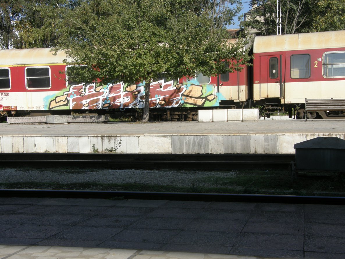 Graffiti Train - Photo by Snukar