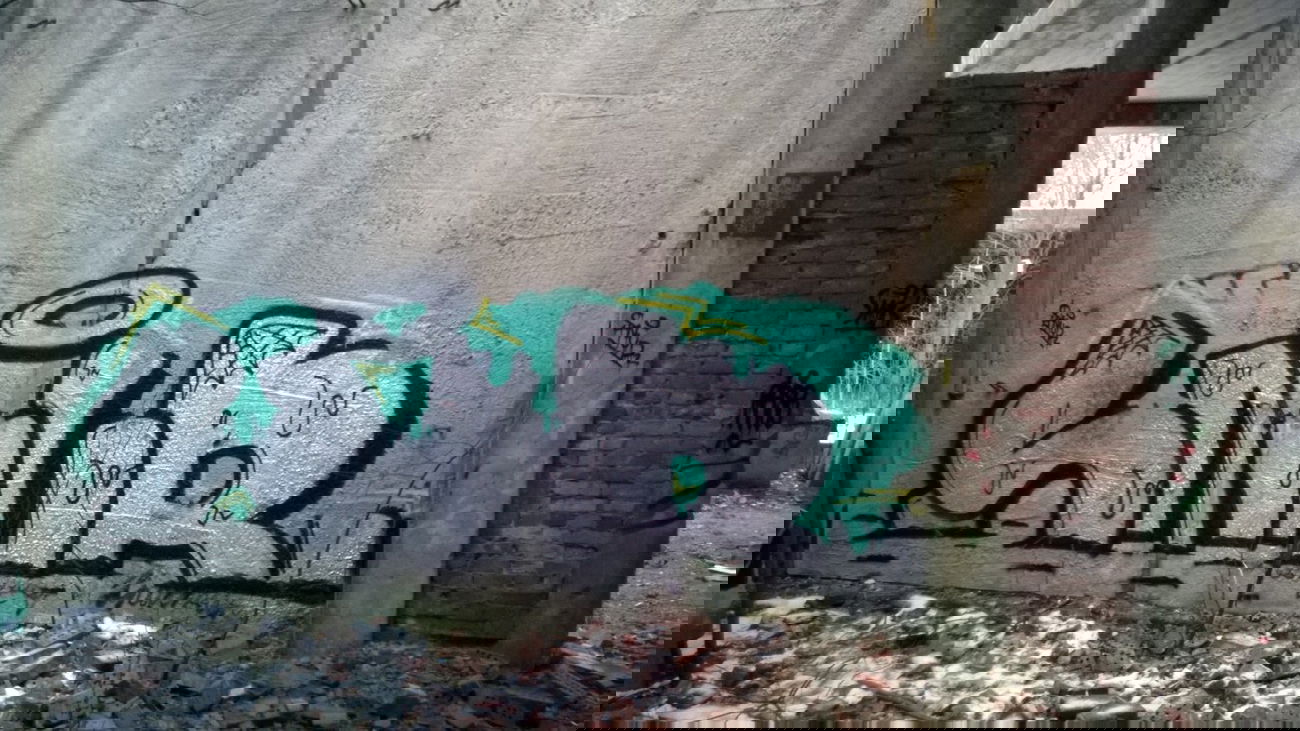 Graffiti Bombing - Photo by Snur (2014)