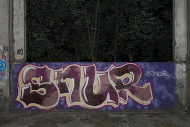 Graffiti Wall in Vyborg - Photo by Snur (2013)