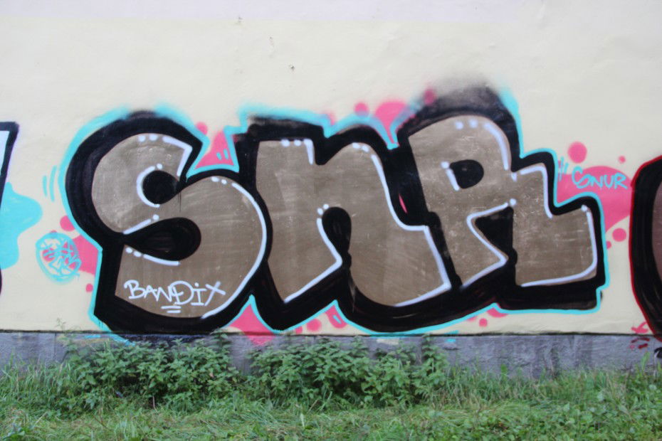 Graffiti Bombing in Vyborg - Photo by Snur (2012)