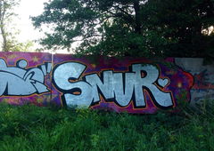 Photo #192019 by TagHagel