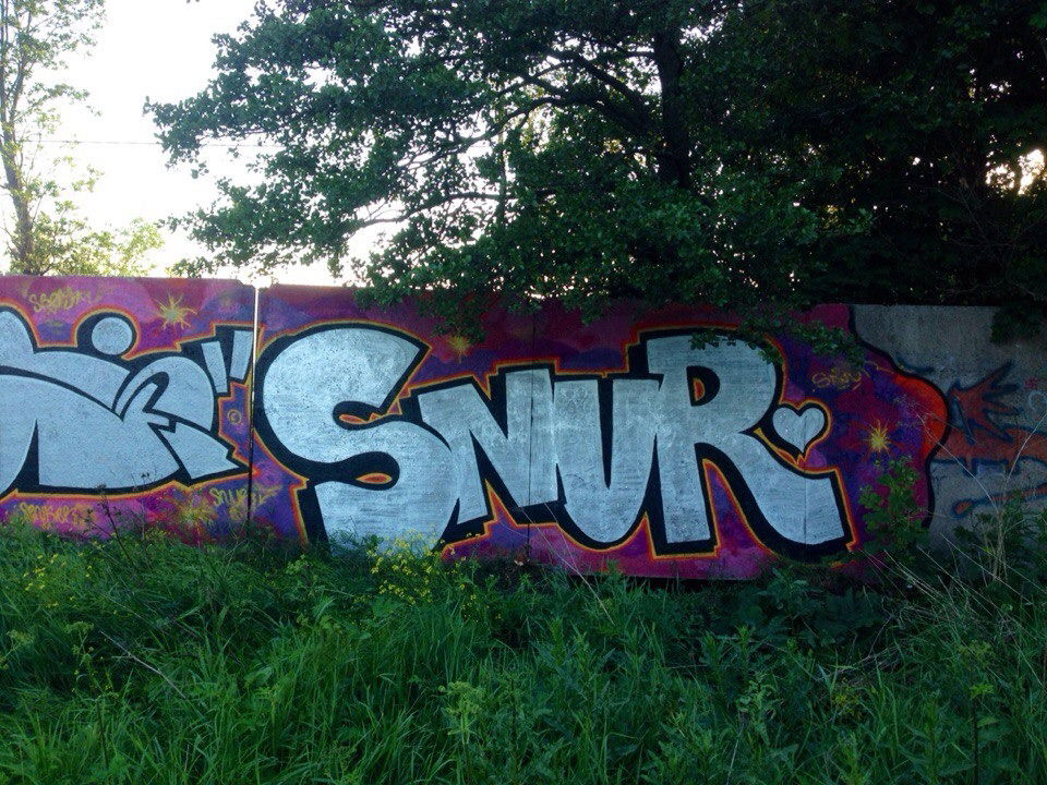 Graffiti Bombing - Photo by Snur (2016)