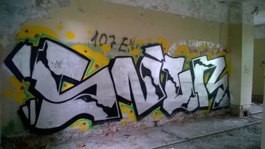 Graffiti Bombing - Photo by Snur (2014)