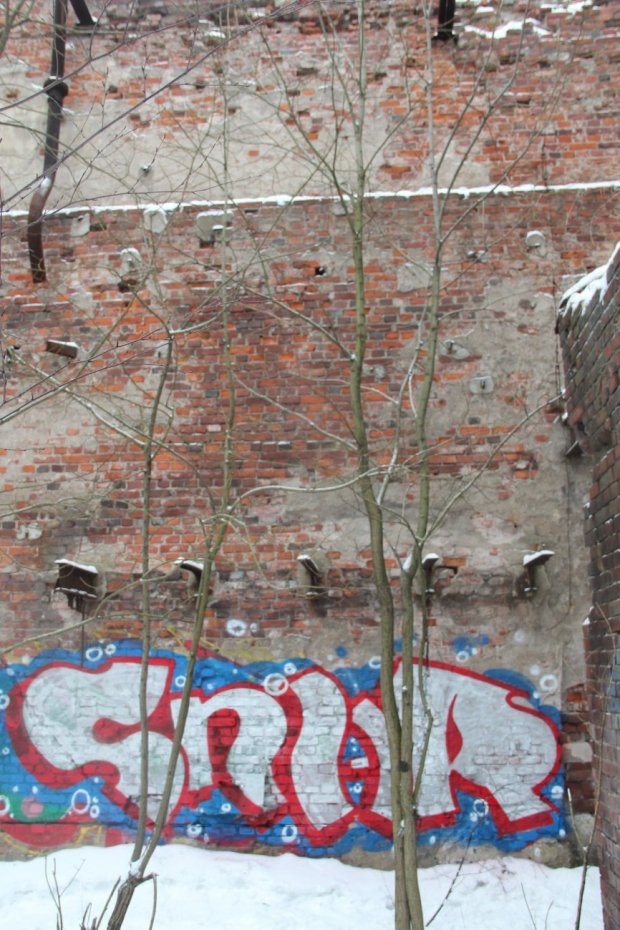 Graffiti Bombing - Photo by Snur (2015)