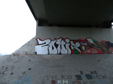 Graffiti Bombing - Photo by SoWi (2013)