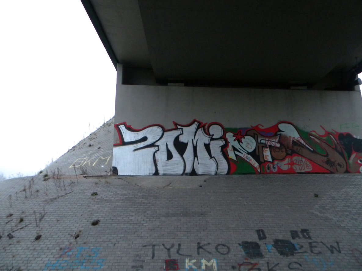 Graffiti Bombing - Photo by SoWi (2013)