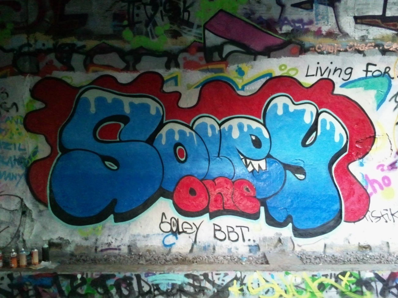 Graffiti Wall - Photo by Soley (2012)