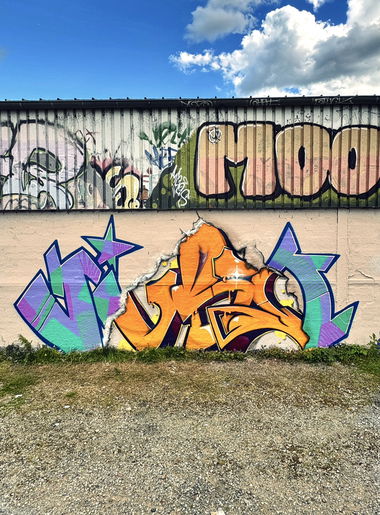 Graffiti Wall in Düsseldorf rath dülmenerweg - Photo by Someone7 - düsseldorf, graffiti, verbunt (2024)