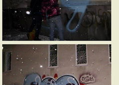 Photo #62746 by Nets1