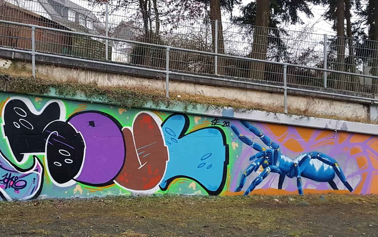Graffiti Wall - Photo by Soulone - spider, graffiti, streetpins (2020)