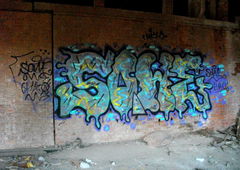 Photo #55567 by FERN