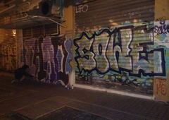 Photo #76273 by FERN