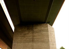 Photo #55580 by NupzerOne