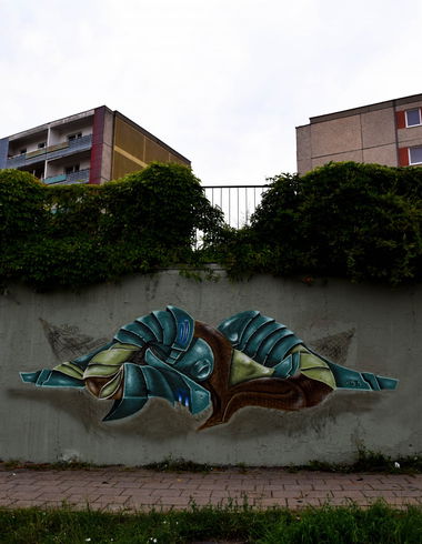 Graffiti Wall in Frankfurt (oder) - Photo by Spaer - SOLD, 153 (2016)