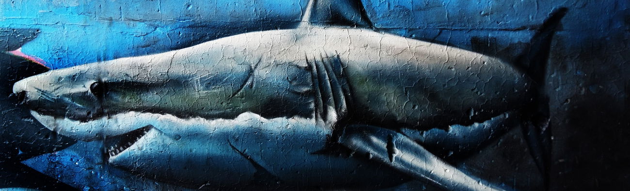 Graffiti Wall in Frankfurt (oder) - Photo by Spaer - SOLD, 153design (2016)