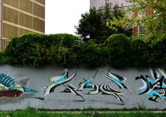 Photo #193303 by noc