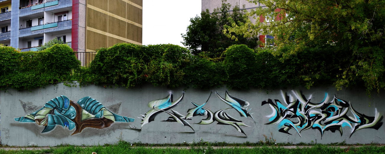 Graffiti Wall in Frankfurt (oder) - Photo by Spaer - SOLD, NOC, SPIN (2016)