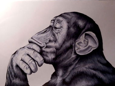 Graffiti Sketch - Photo by Spaer - SOLD (2016)