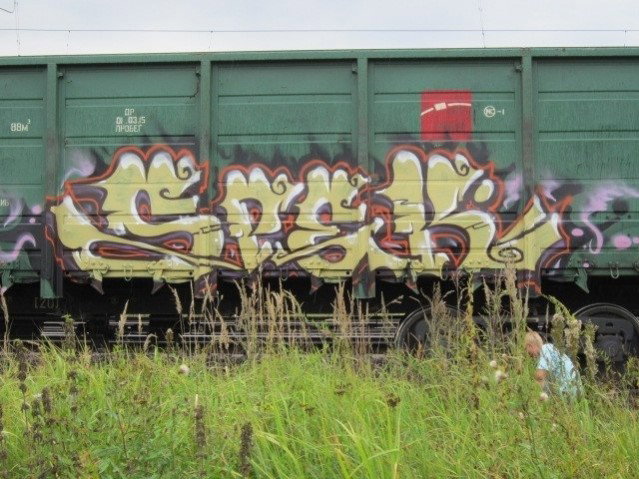 Graffiti Train - Photo by Speack