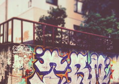 Photo #38512 by Bordo