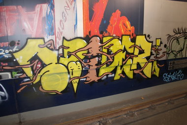 Graffiti Bombing in Köln - Photo by Spie23 - spider, imr