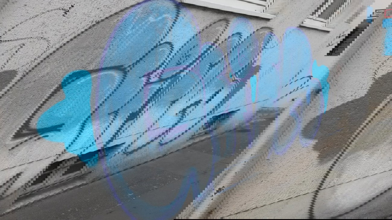 Graffiti Bombing - Photo by Spie23 - geier, imr (2013)