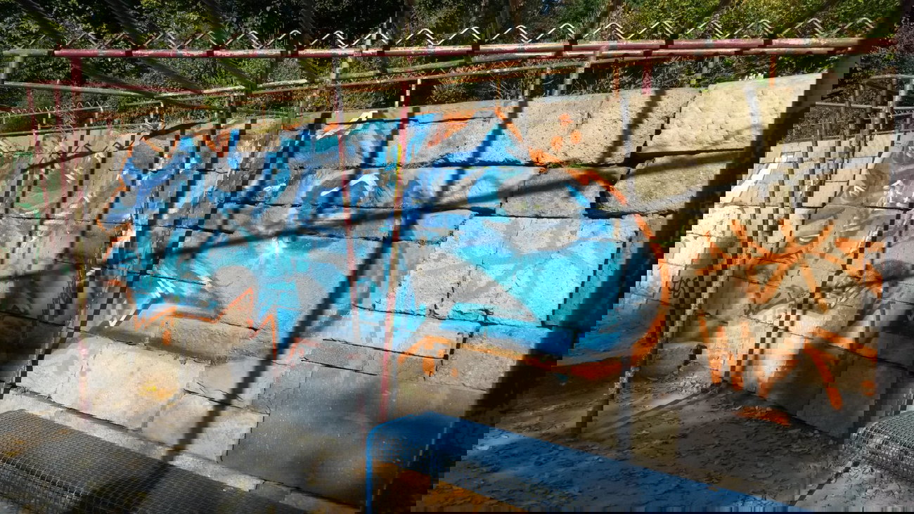 Graffiti Bombing - Photo by Spie23 - fister, dbk (2014)