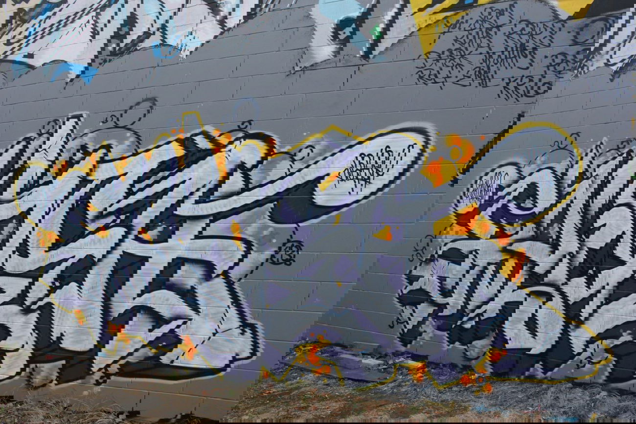 Graffiti Wall in Tauranga - Photo by Splash - splash, new, zealand