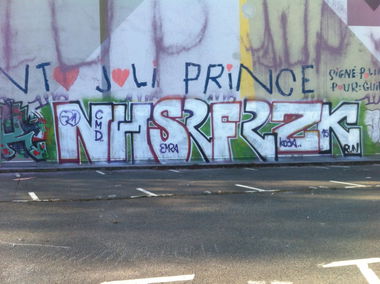 Graffiti Bombing - Photo by SpoRtsFreund - NHS, SRF, RZK