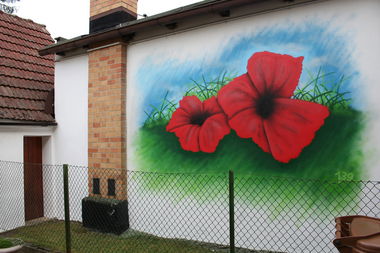 Graffiti Wall - Photo by Spok139 (2016)