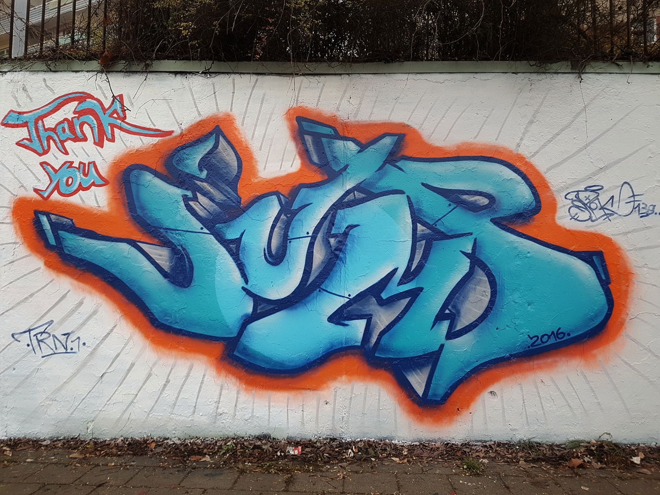 Graffiti Wall - Photo by Spok139 (2016)