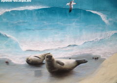 Photo #60023 by Osnova