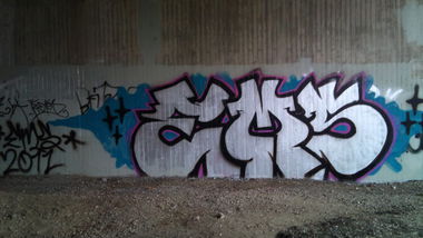 Graffiti Bombing in Oldenburg - Photo by Spotted - Ems (2011)