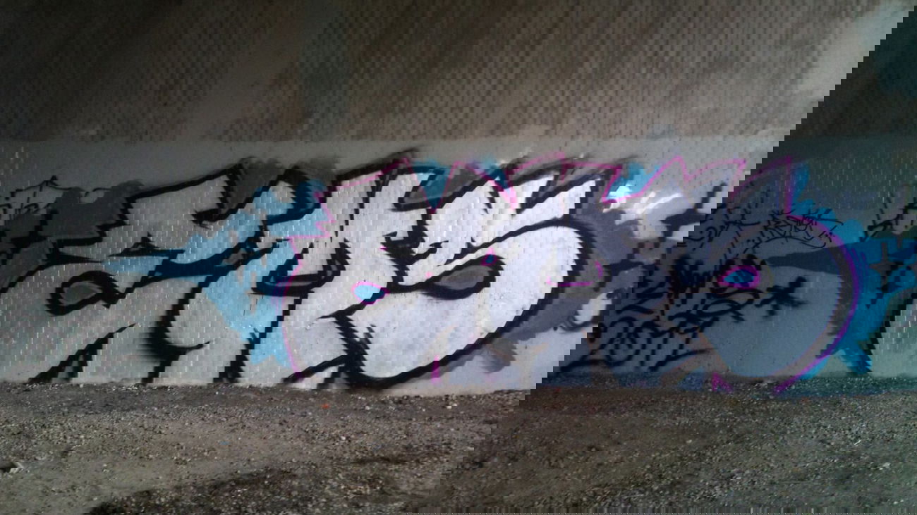 Graffiti Bombing in Oldenburg - Photo by Spotted - Ems (2011)