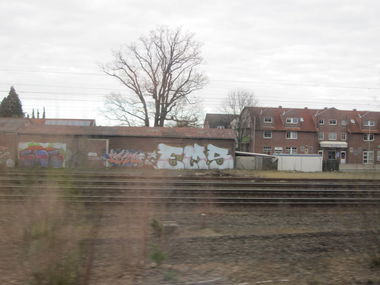 Graffiti Bombing - Photo by Spotted - Ems (2011)